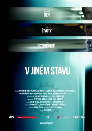 V jiném stavu