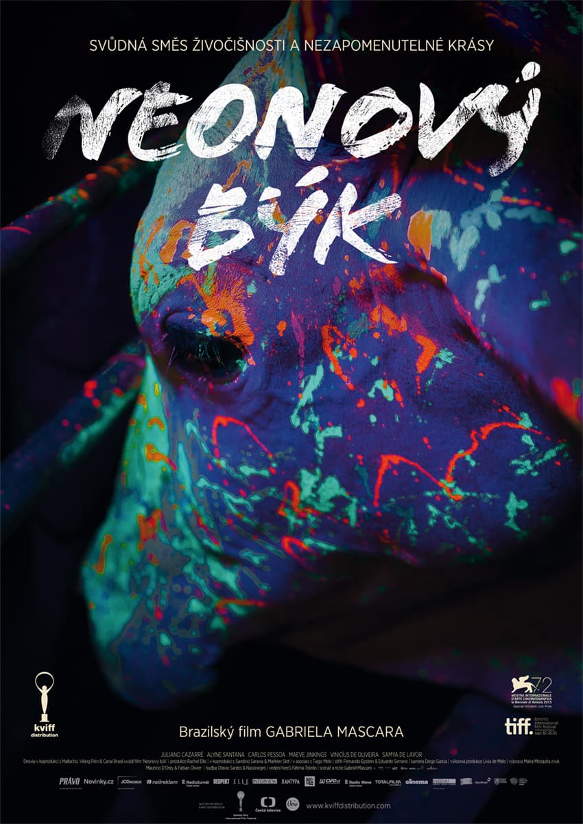 Neonový býk