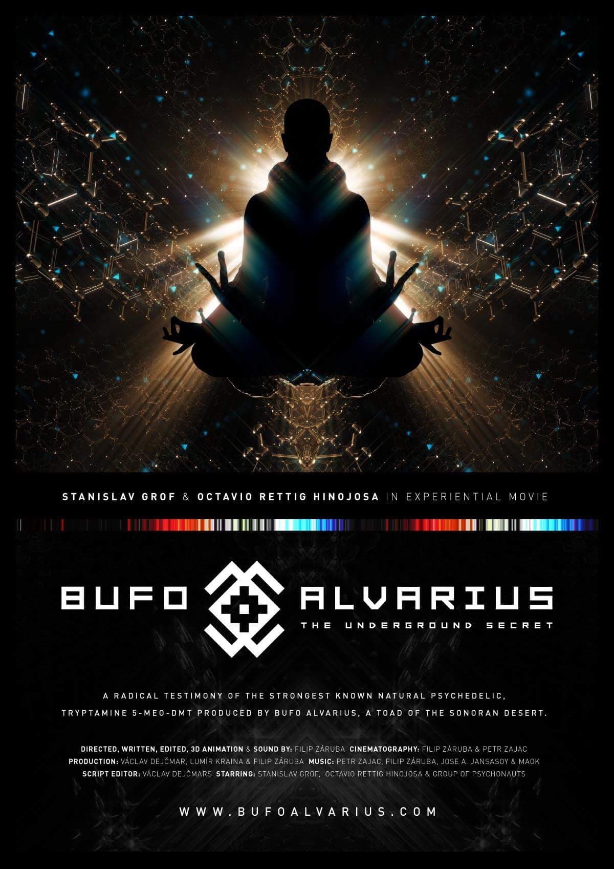 Bufo Alvarius