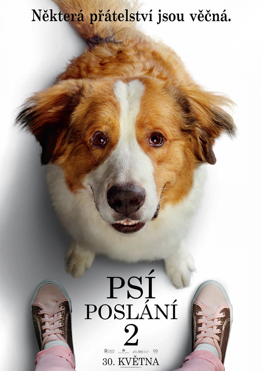 Psí poslání 2