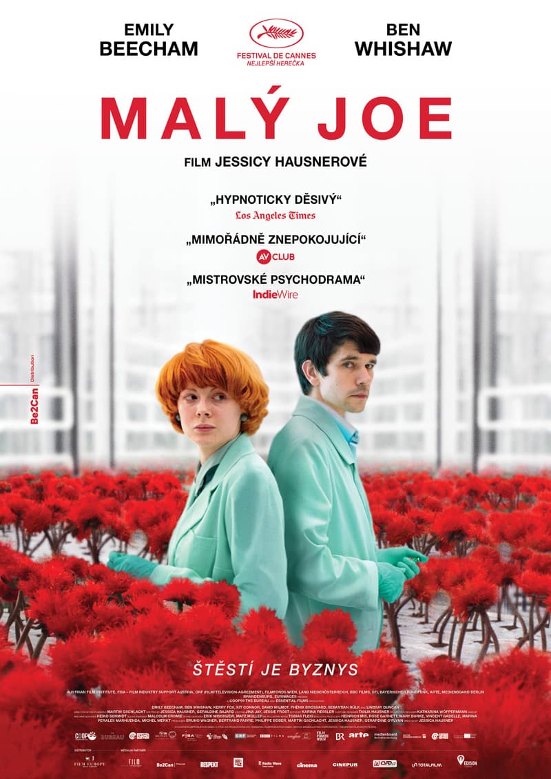 Malý Joe