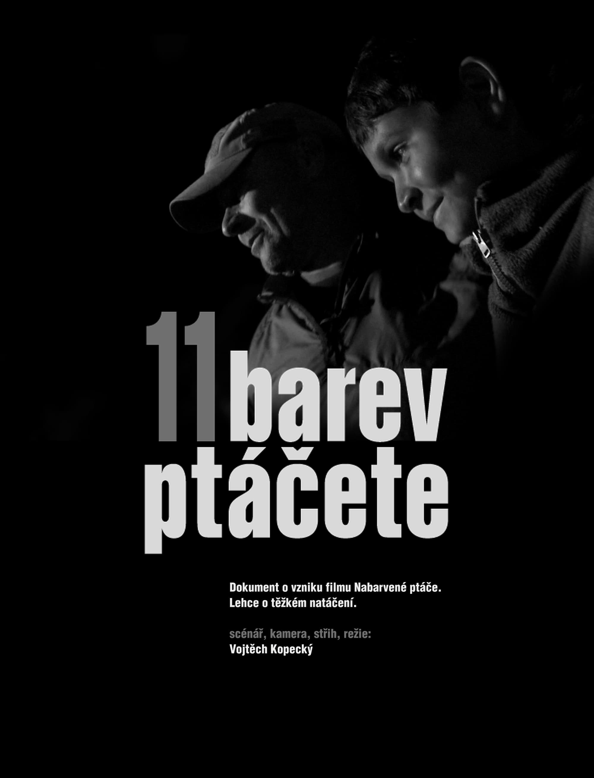 11 barev ptáčete