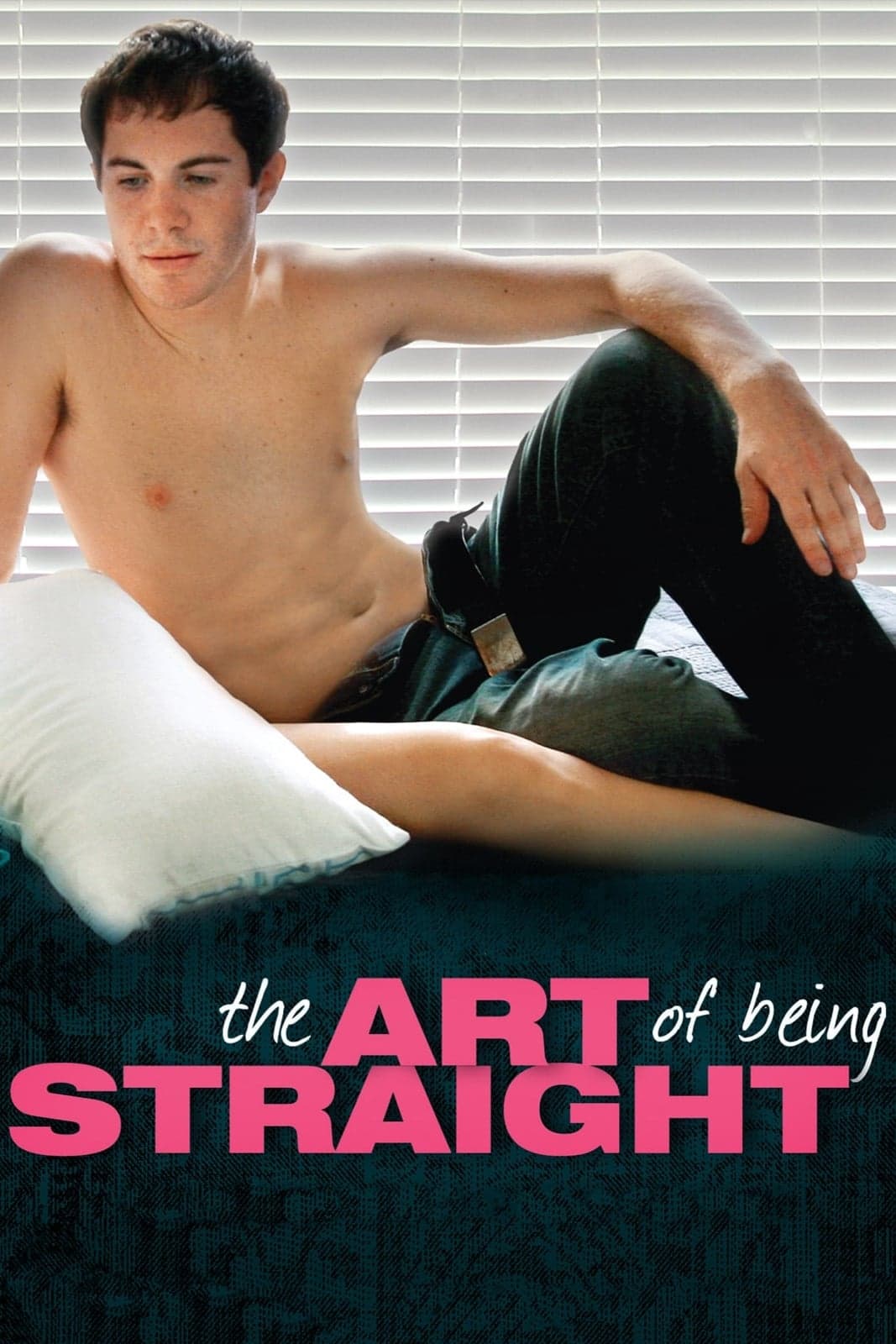Art of Being Straight, The