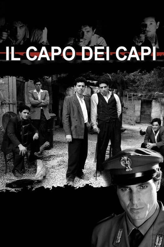 Il Capo dei capi