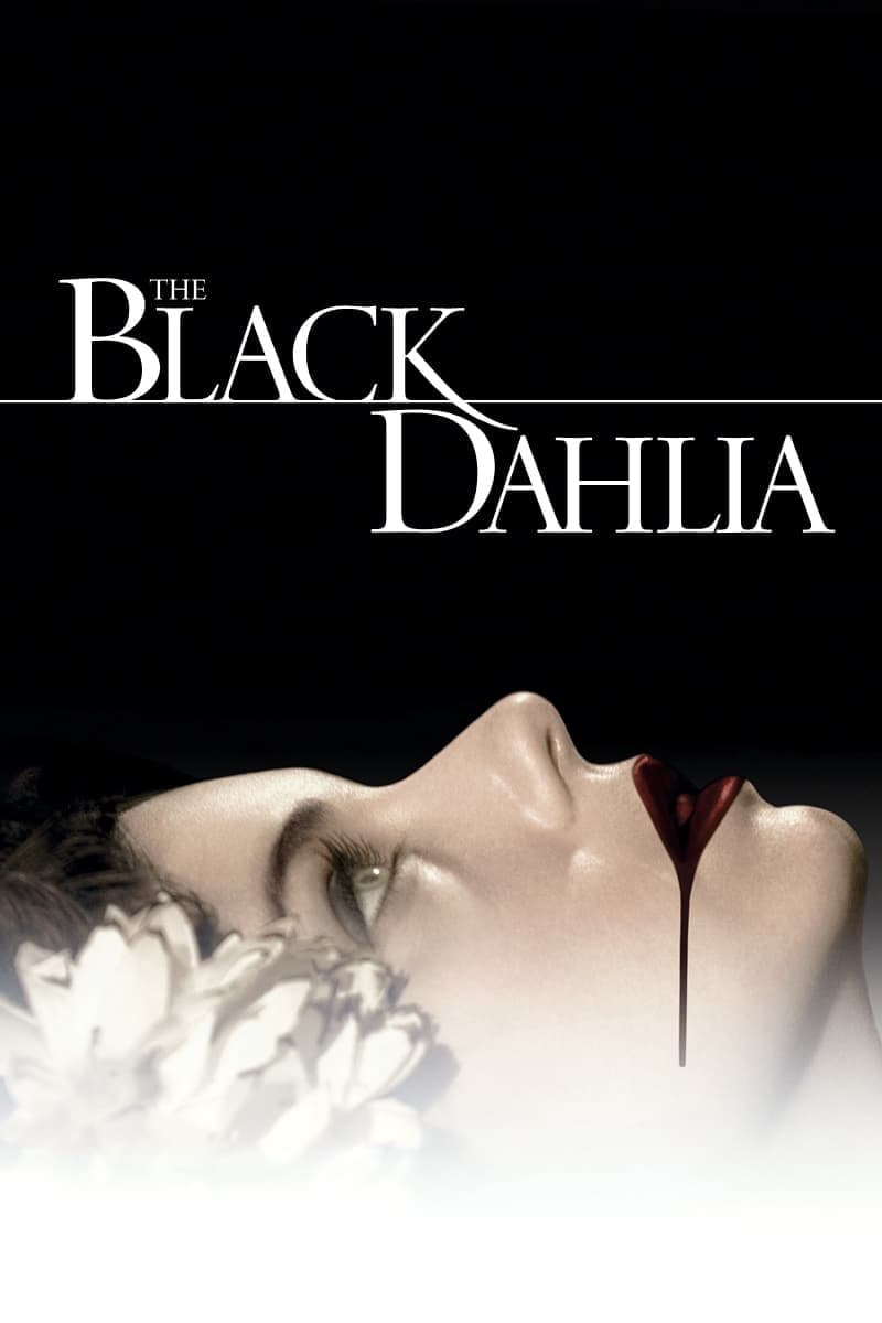 Černá Dahlia