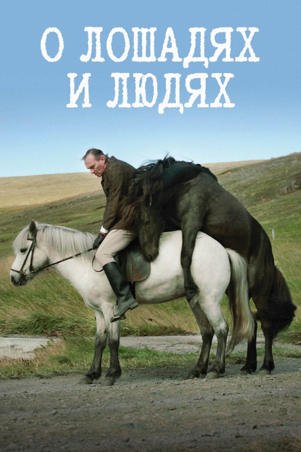 O koních a lidech