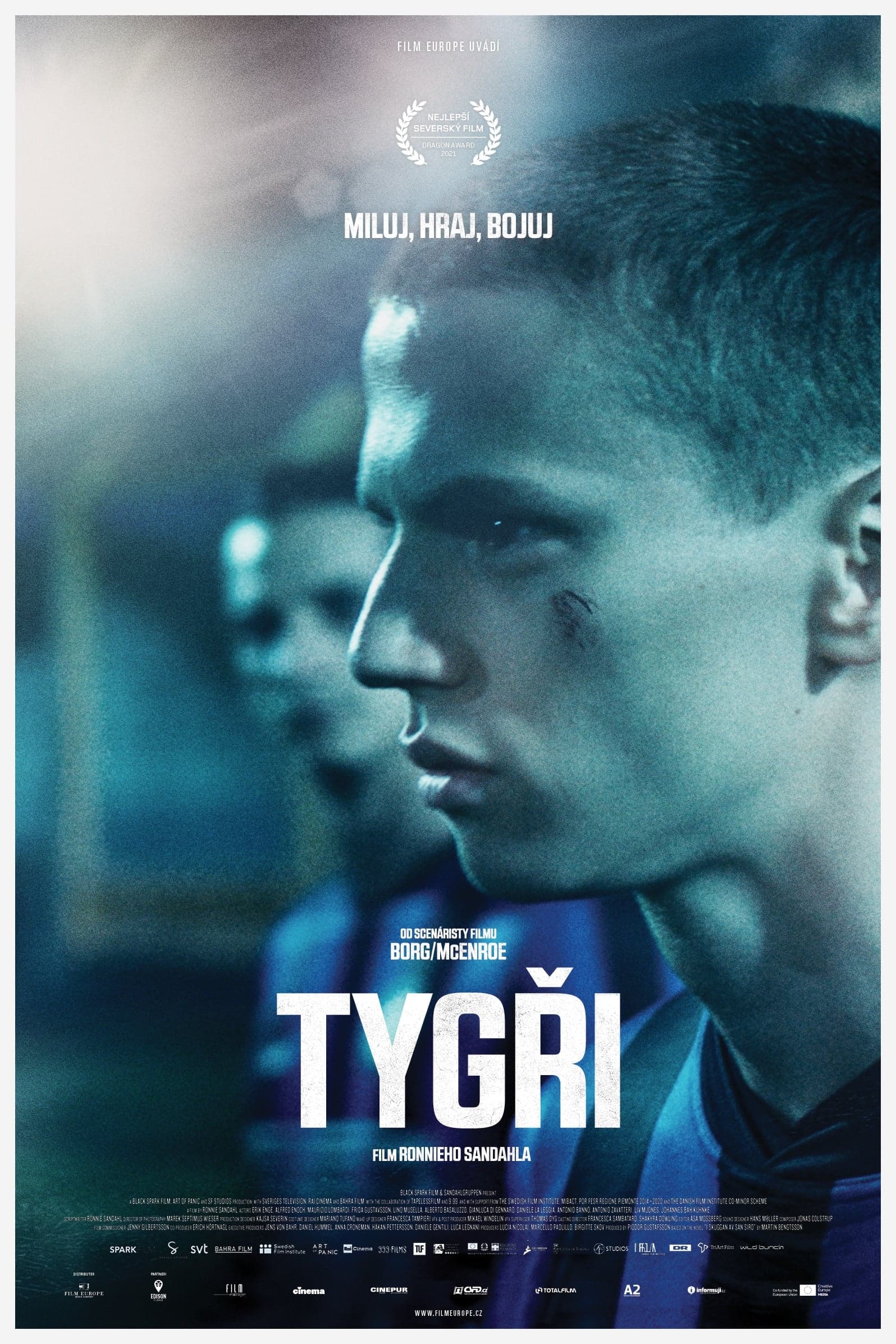 Tygři