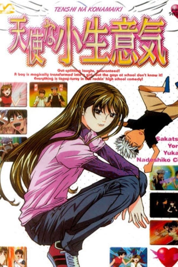 Tenshi na konamaiki