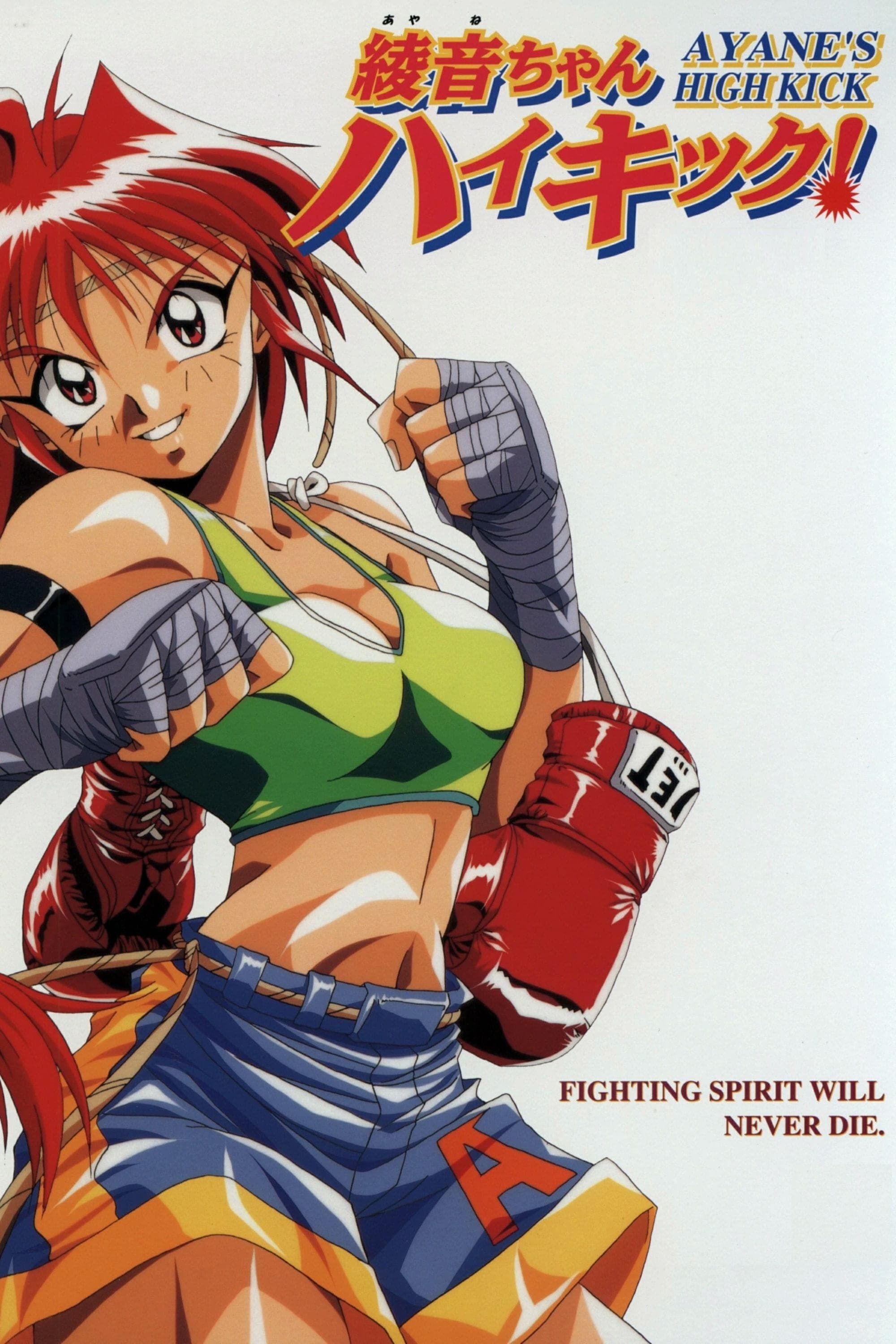 Ayane's High Kick