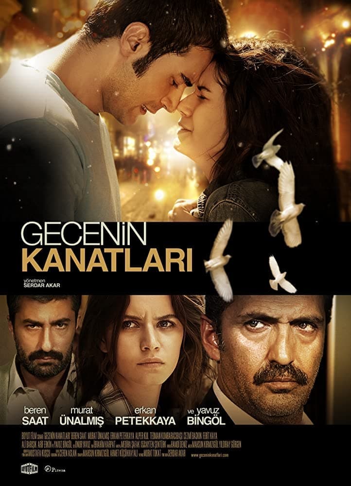 Gecenin kanatlari