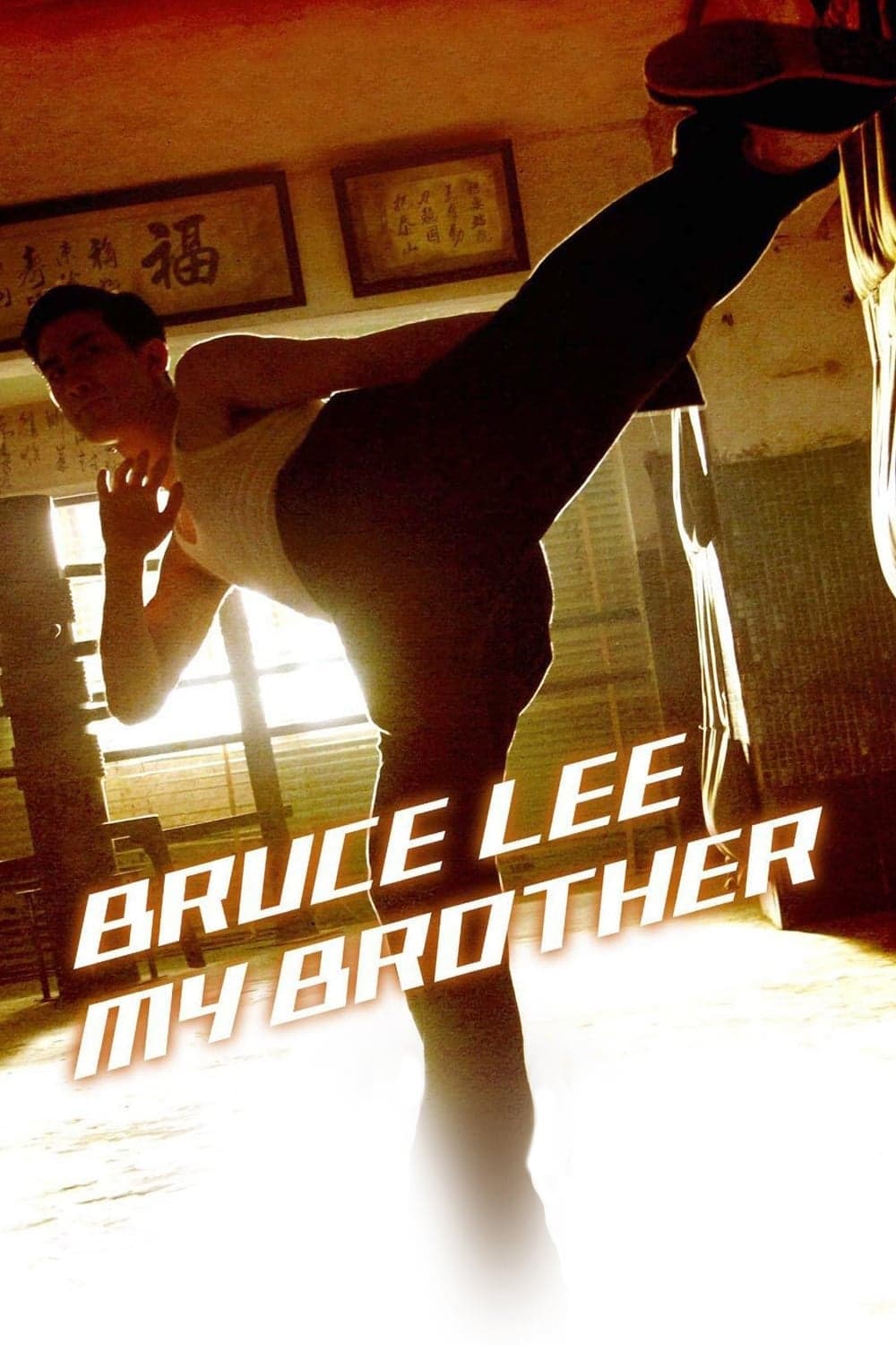 Můj bratr Bruce Lee