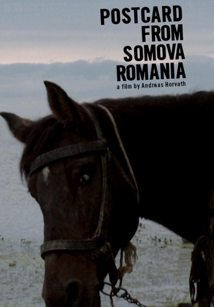 Pohlednice z rumunské Somovy