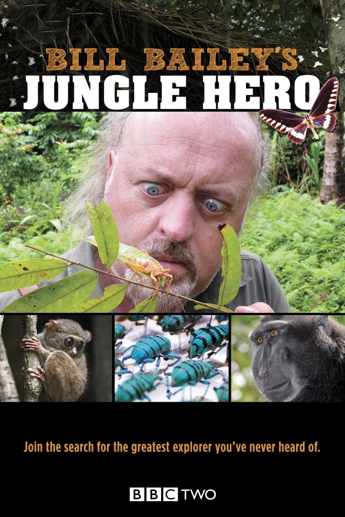 Bill Bailey: Dobrodružství v džungli