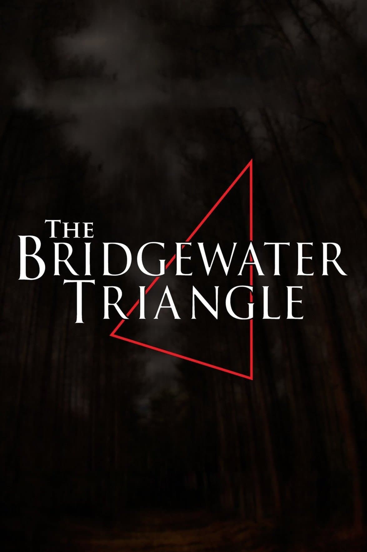 Bridgewater Triangle, The