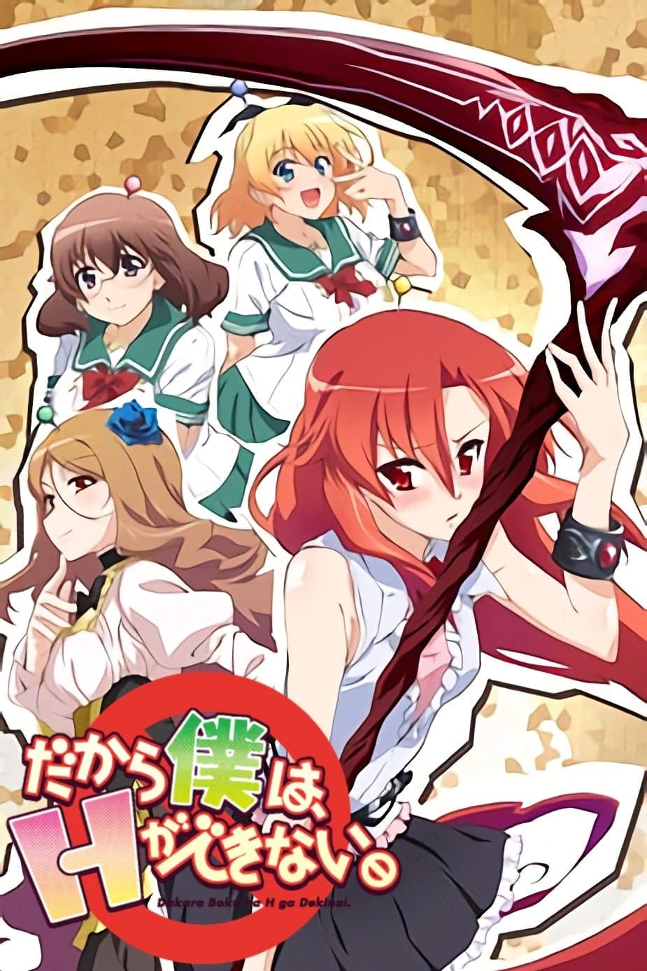 Dakara boku wa, H ga dekinai.