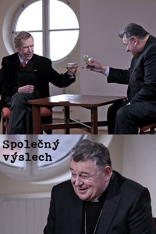 Společný výslech
