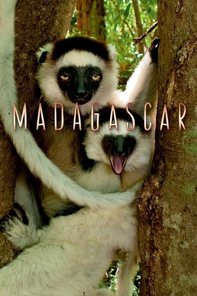 Madagaskar