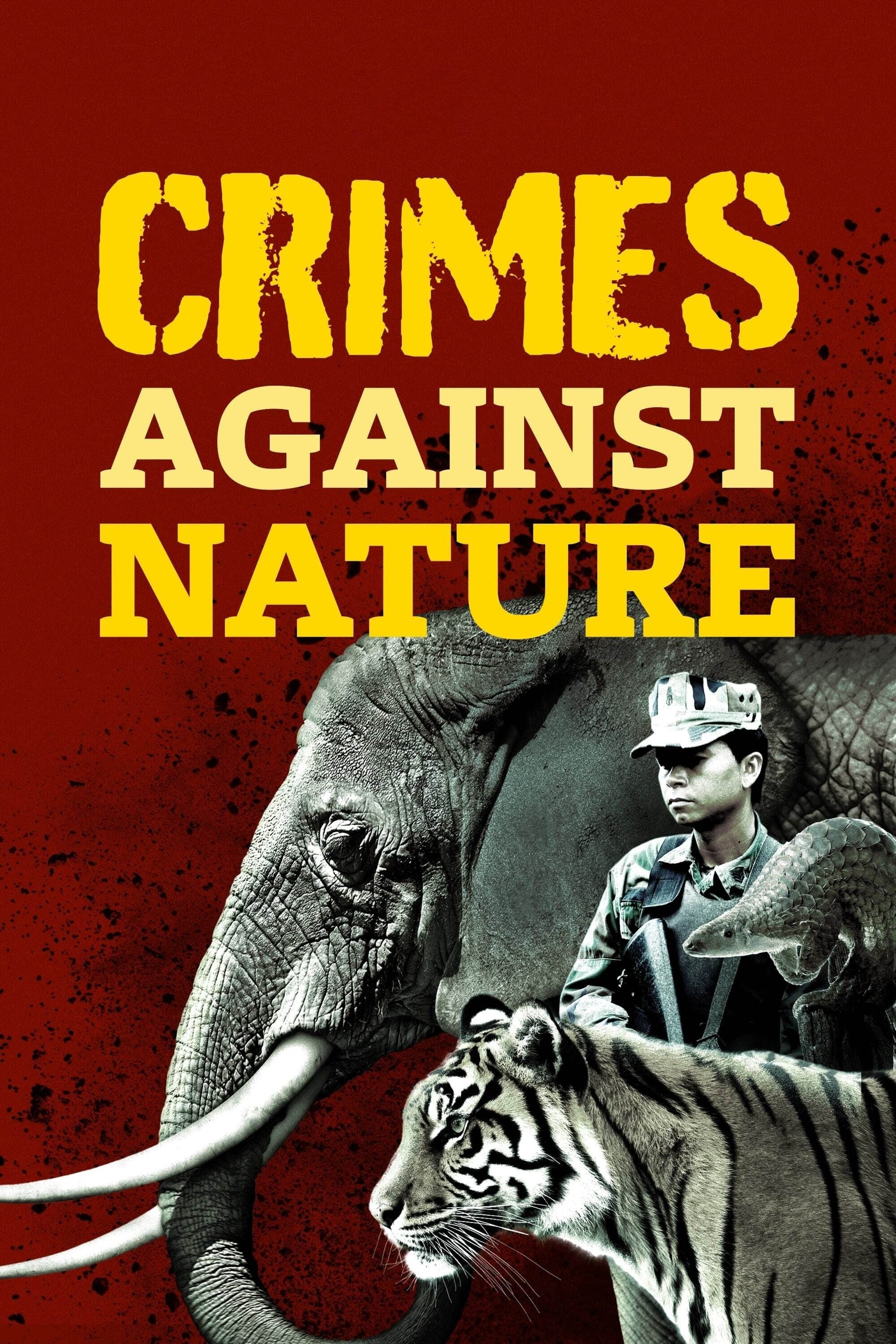 Eco Crime Investigators