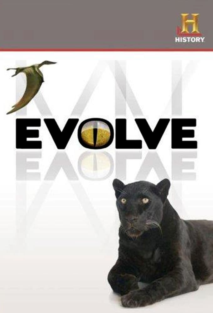 Evoluce