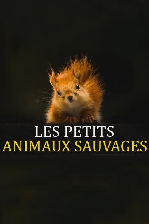 Petits animaux sauvages, Les