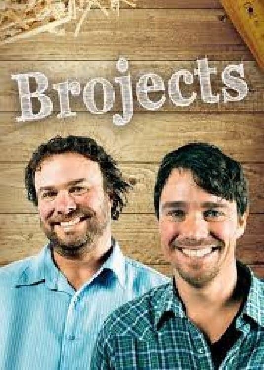 Bratrské projekty