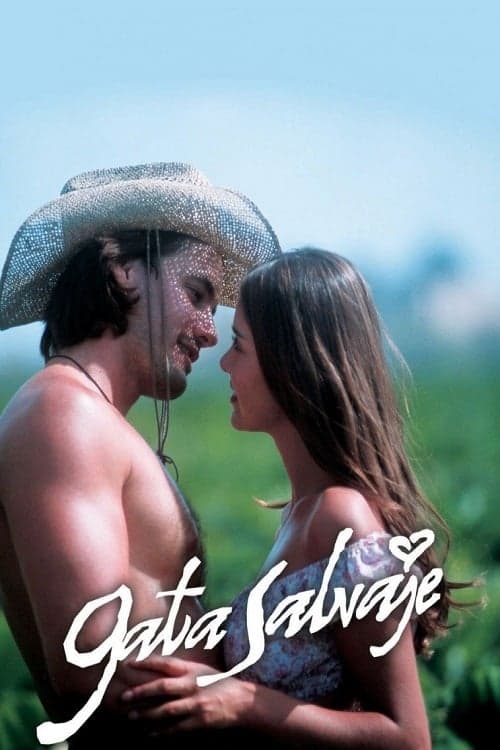 Divoká kočka