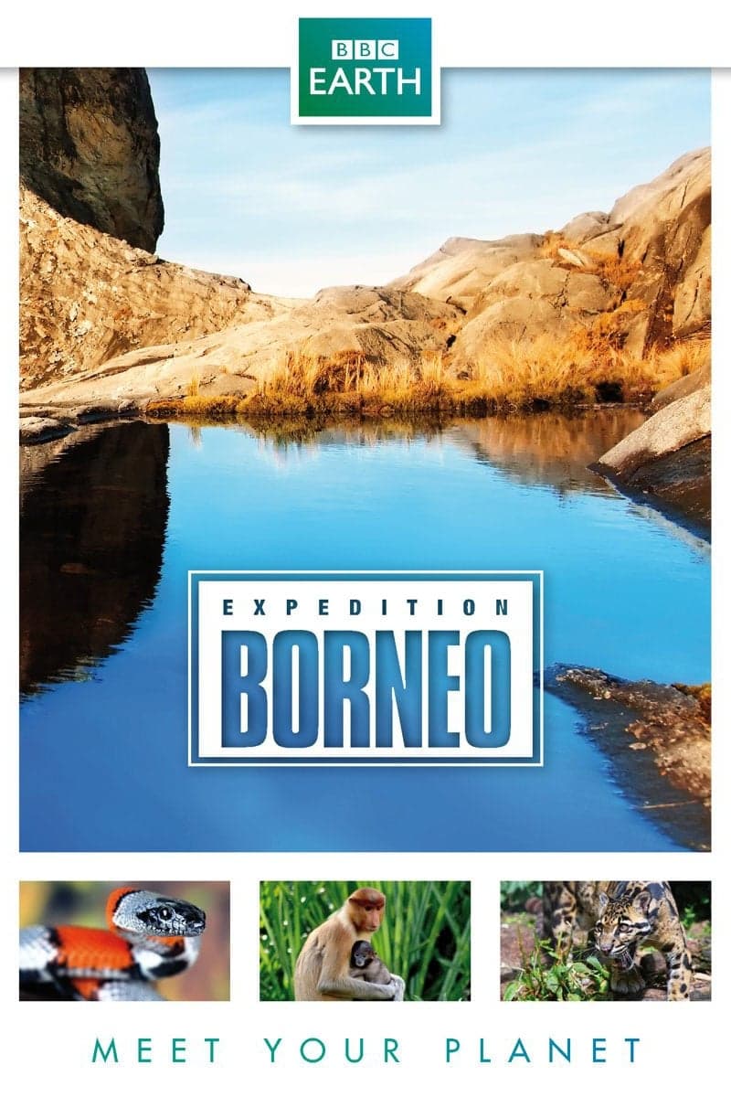 Kamera na cestách: expedice Borneo