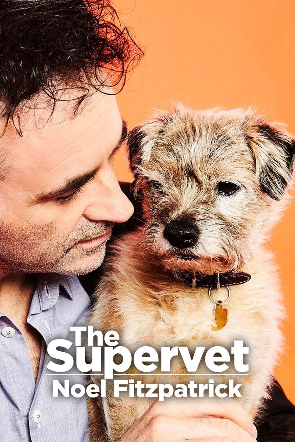 Super veterináři