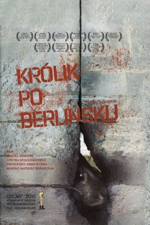 Králík po berlínsku