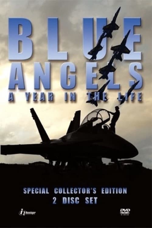 Rok v životě akrobatické letecké skupiny Blue Angels