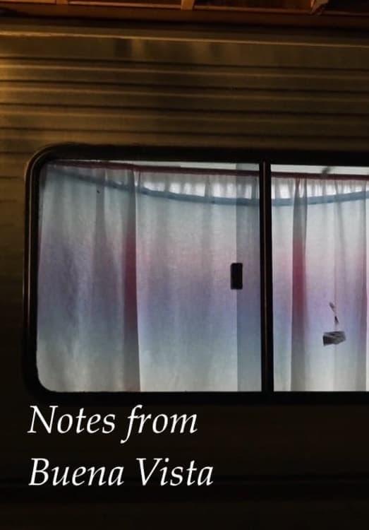 Notes From Buena Vista