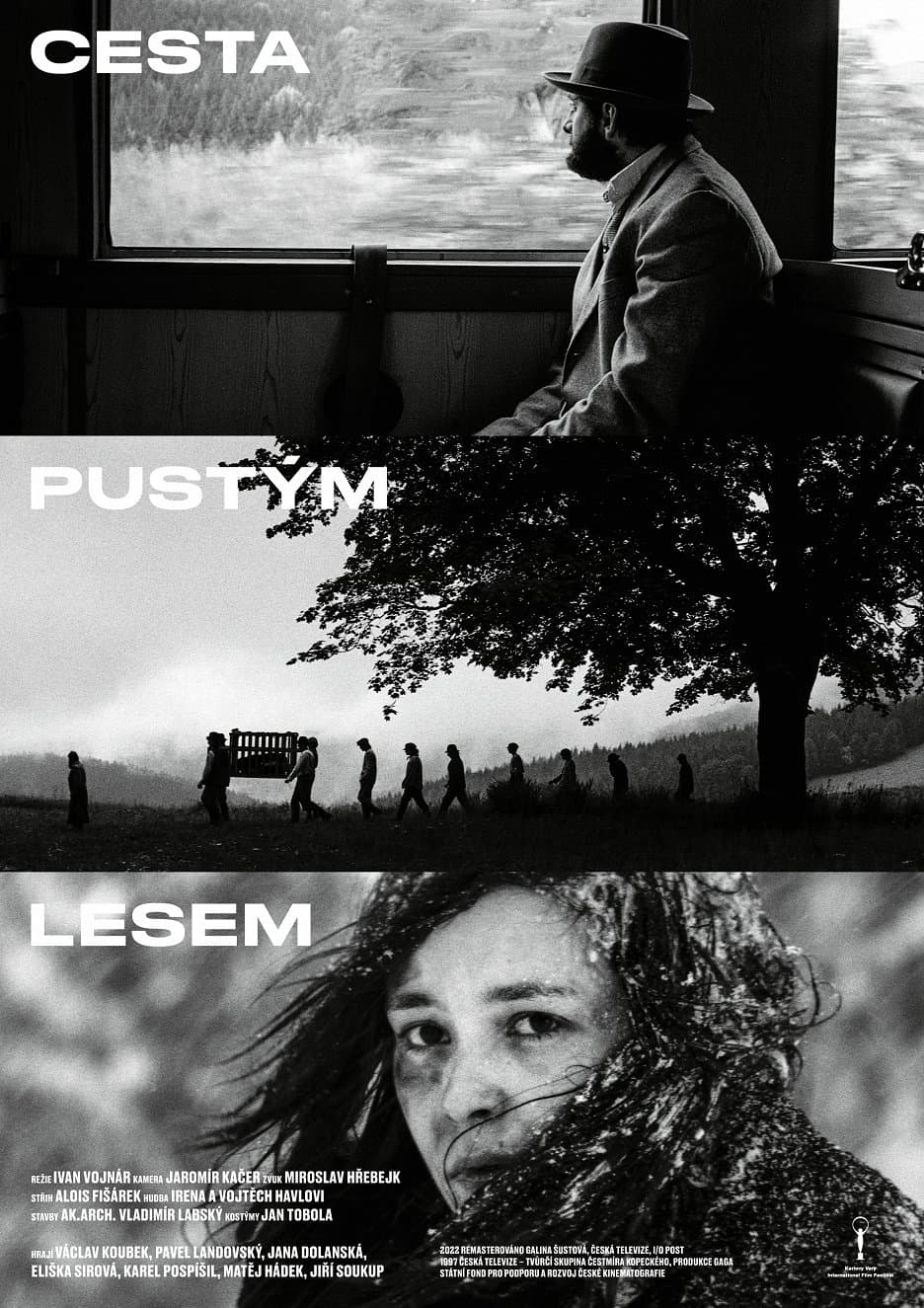 Cesta pustým lesem