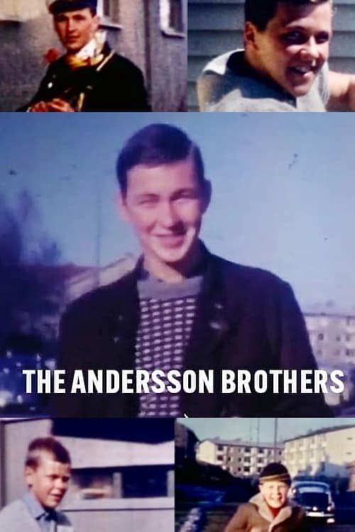 Bratři Anderssonovi