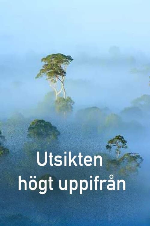 Divočina z výšky