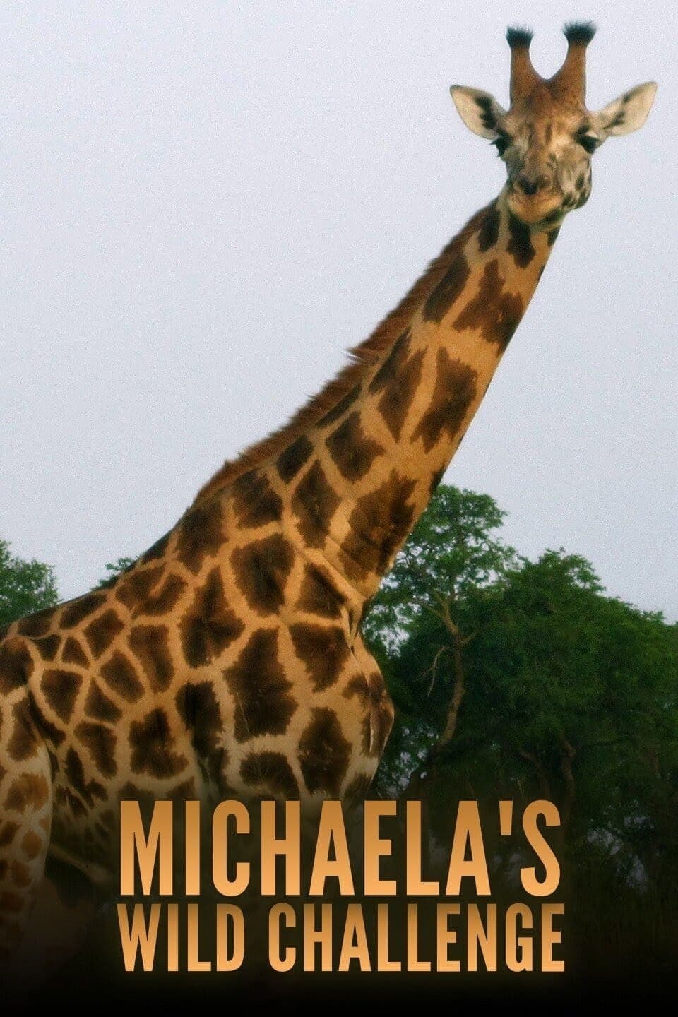 Michaeliny souboje s přírodou
