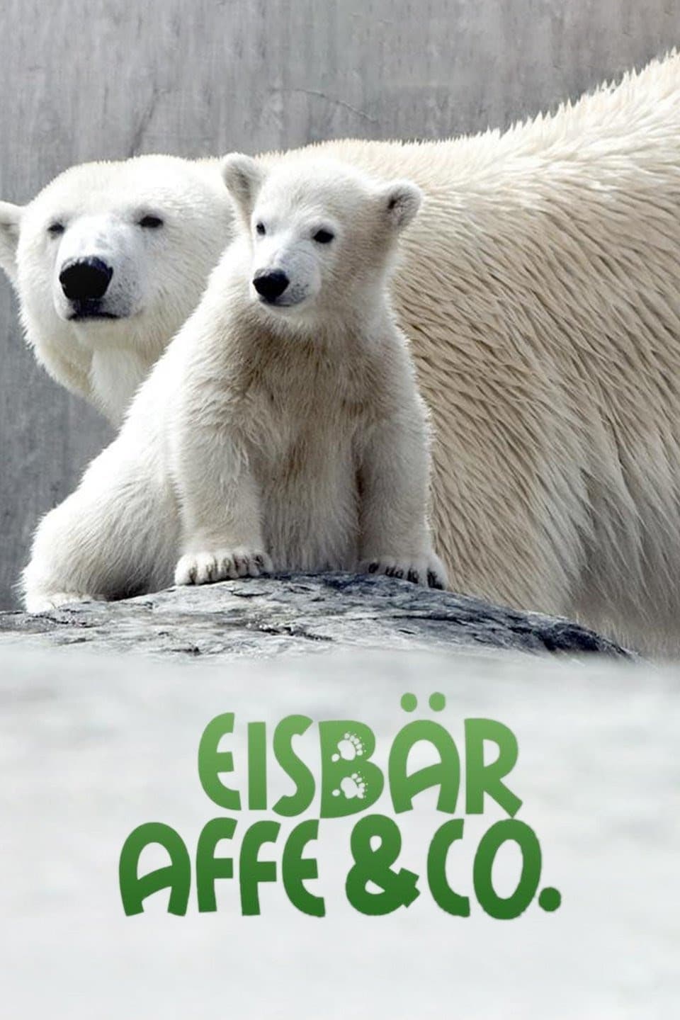 Eisbär, Affe & Co. - Zoogeschichten aus Stuttgart
