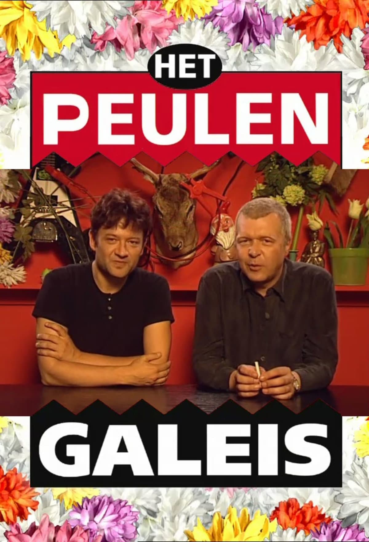 Peulengaleis, Het