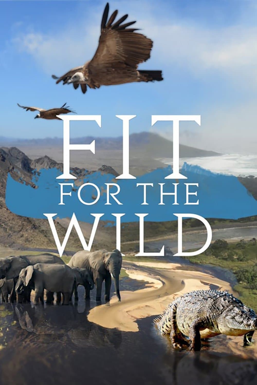Fit for the Wild