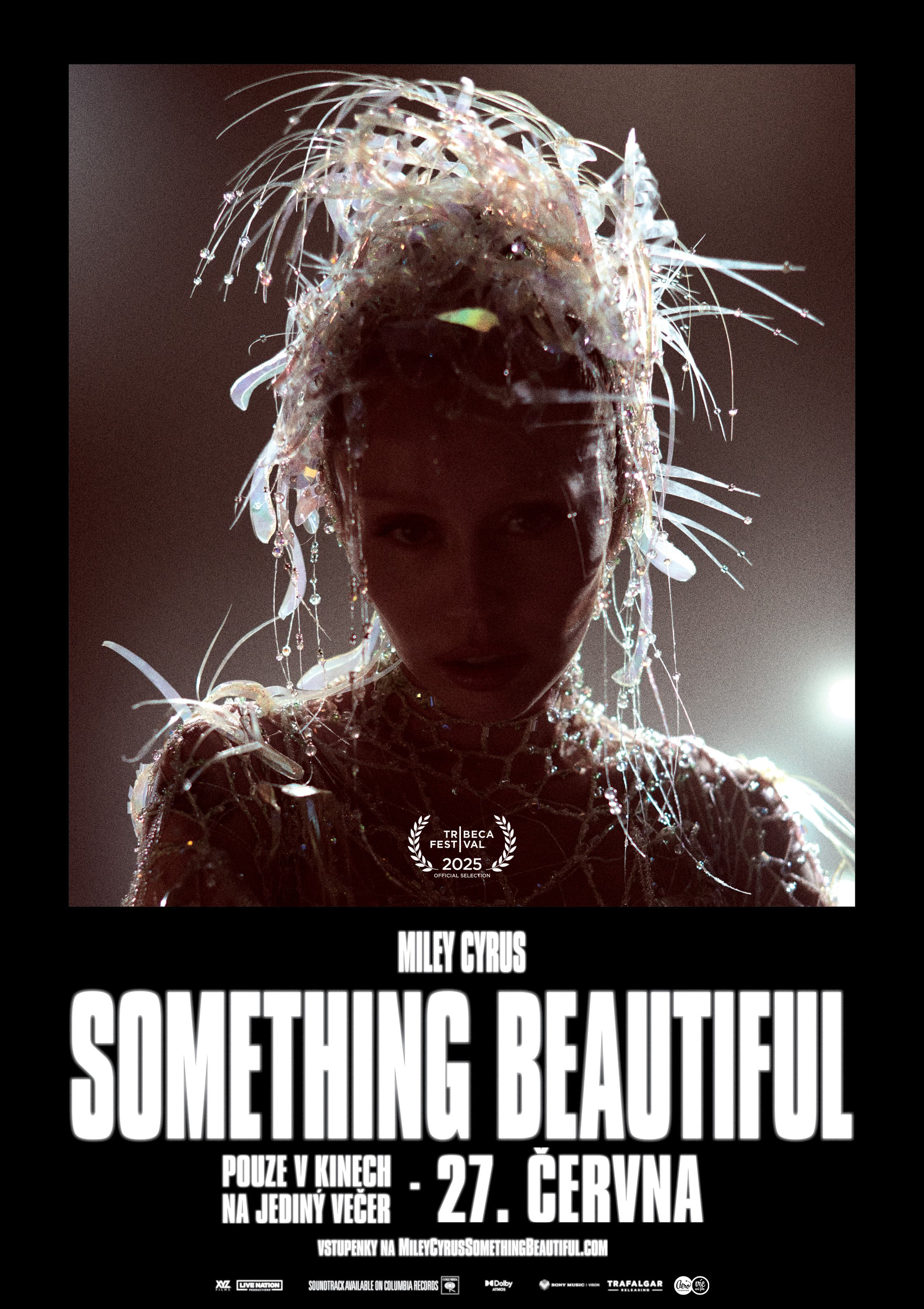Miley Cyrus: Something Beautiful