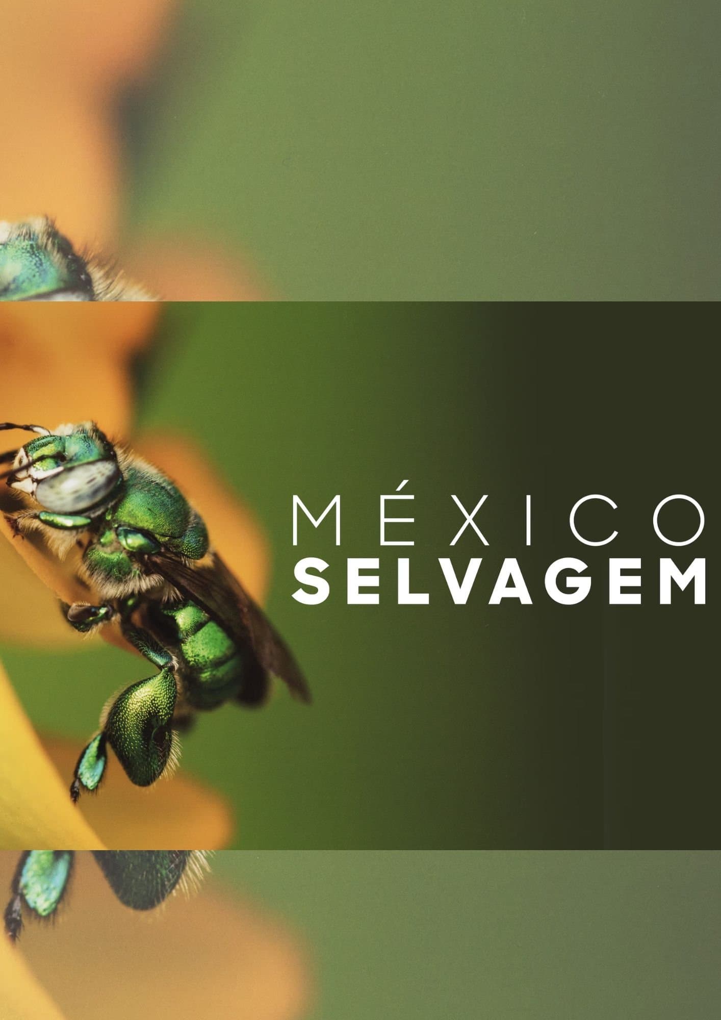México Selvagem