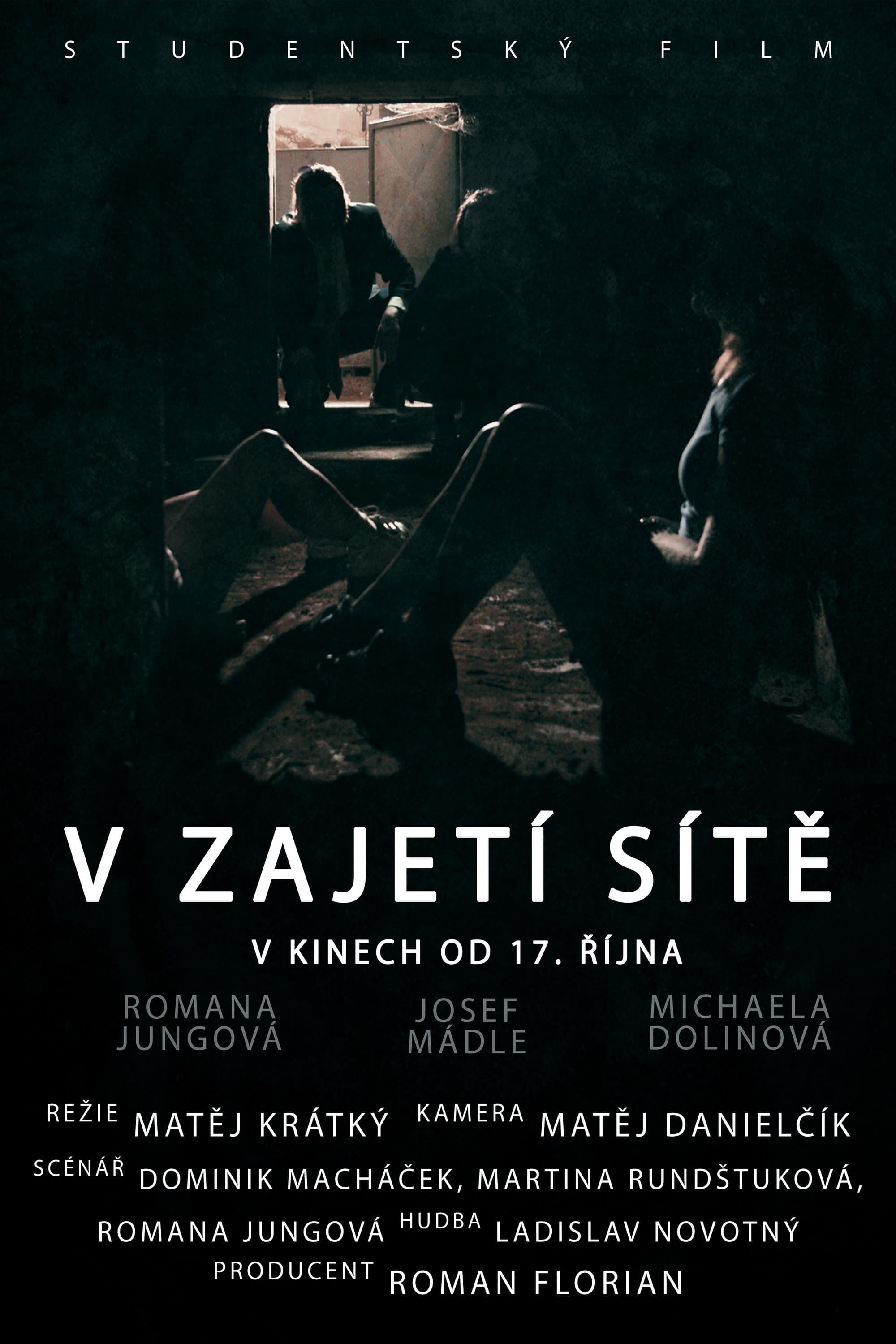 V zajetí sítě