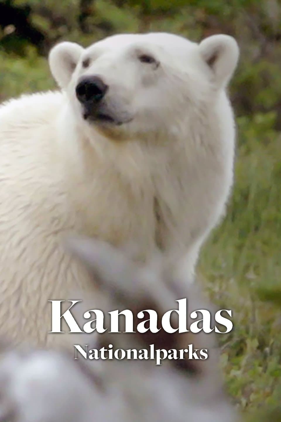 Kanadské národní parky