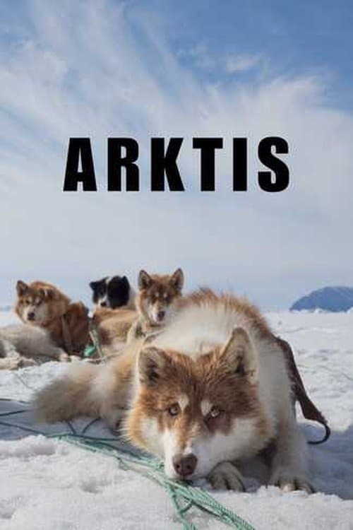 Arctic Circle