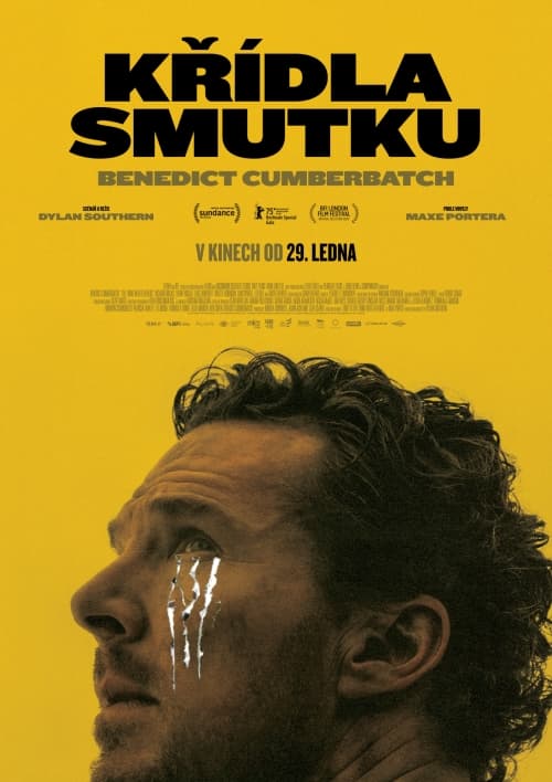 Křídla smutku