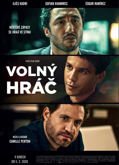 Volný hráč