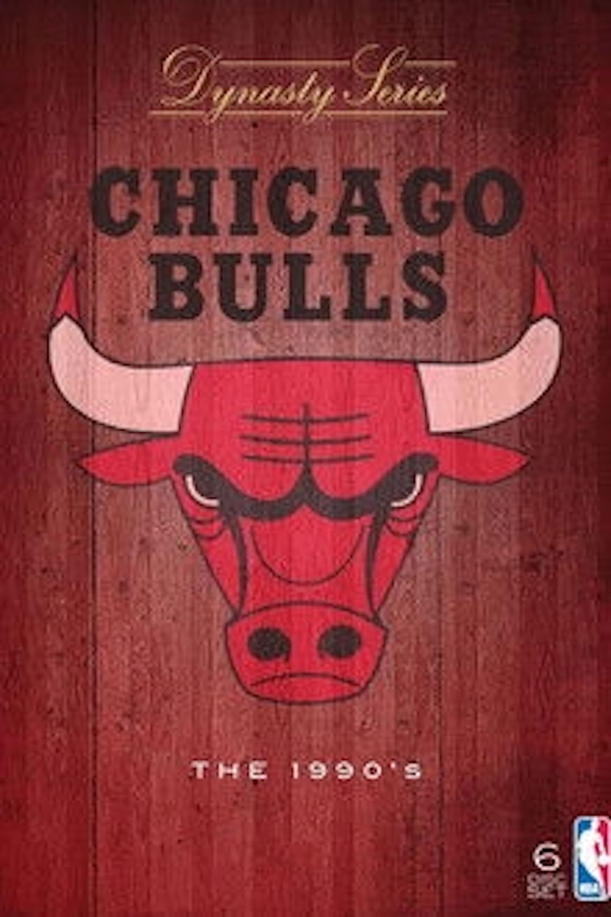 NBA Dynasty Series: Chicago Bulls