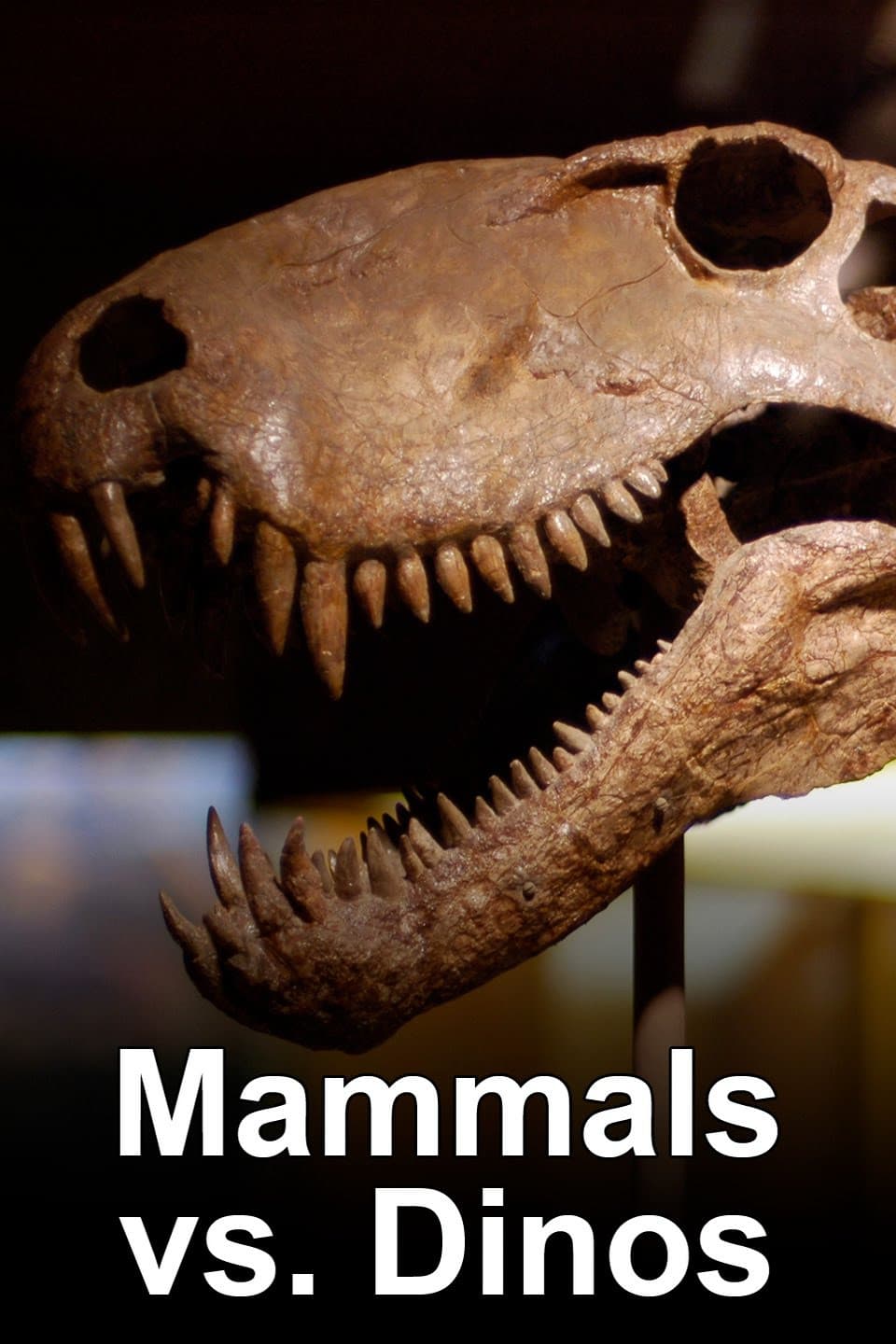 Ve stínu dinosaurů