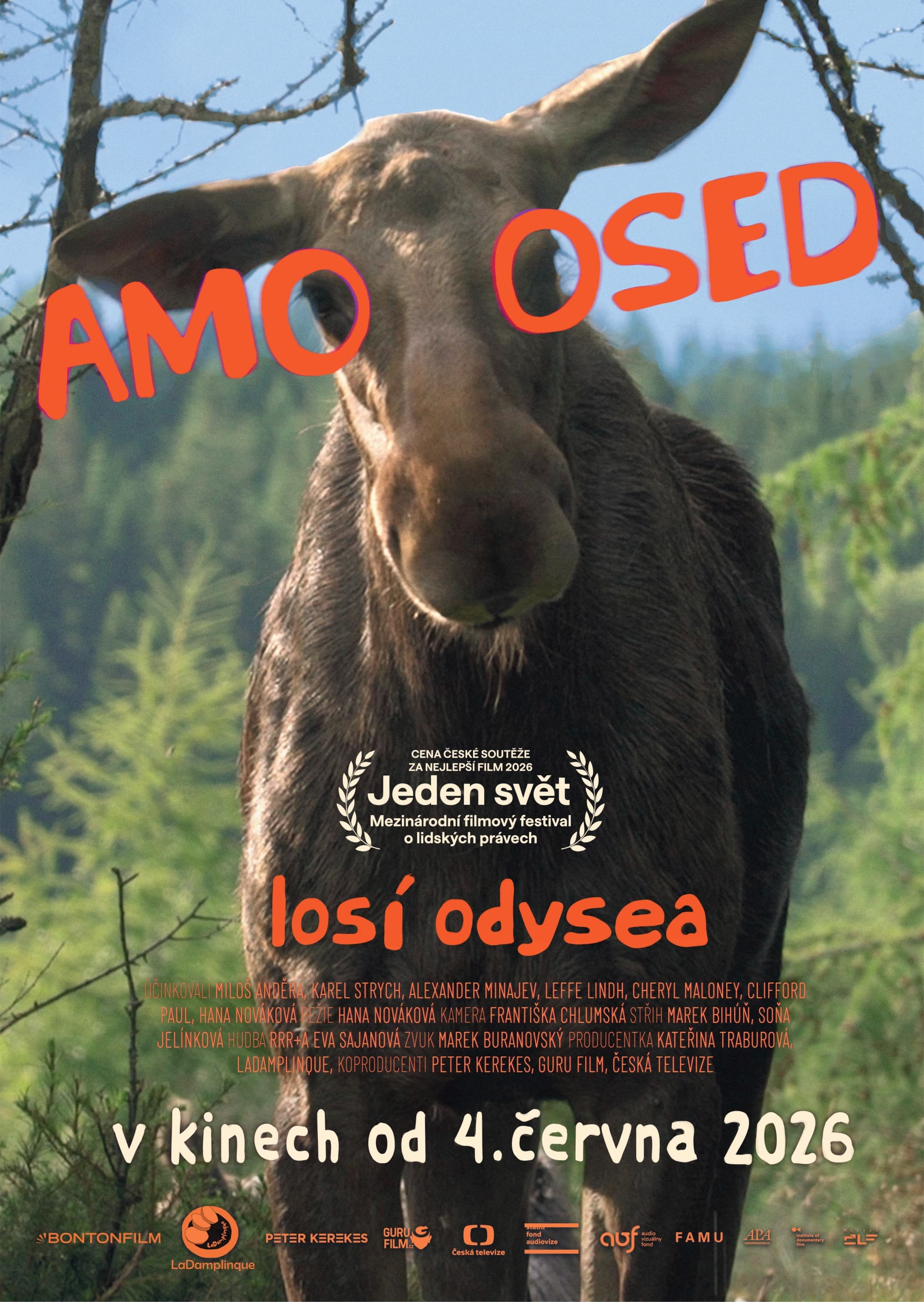 AMOOSED: losí odysea