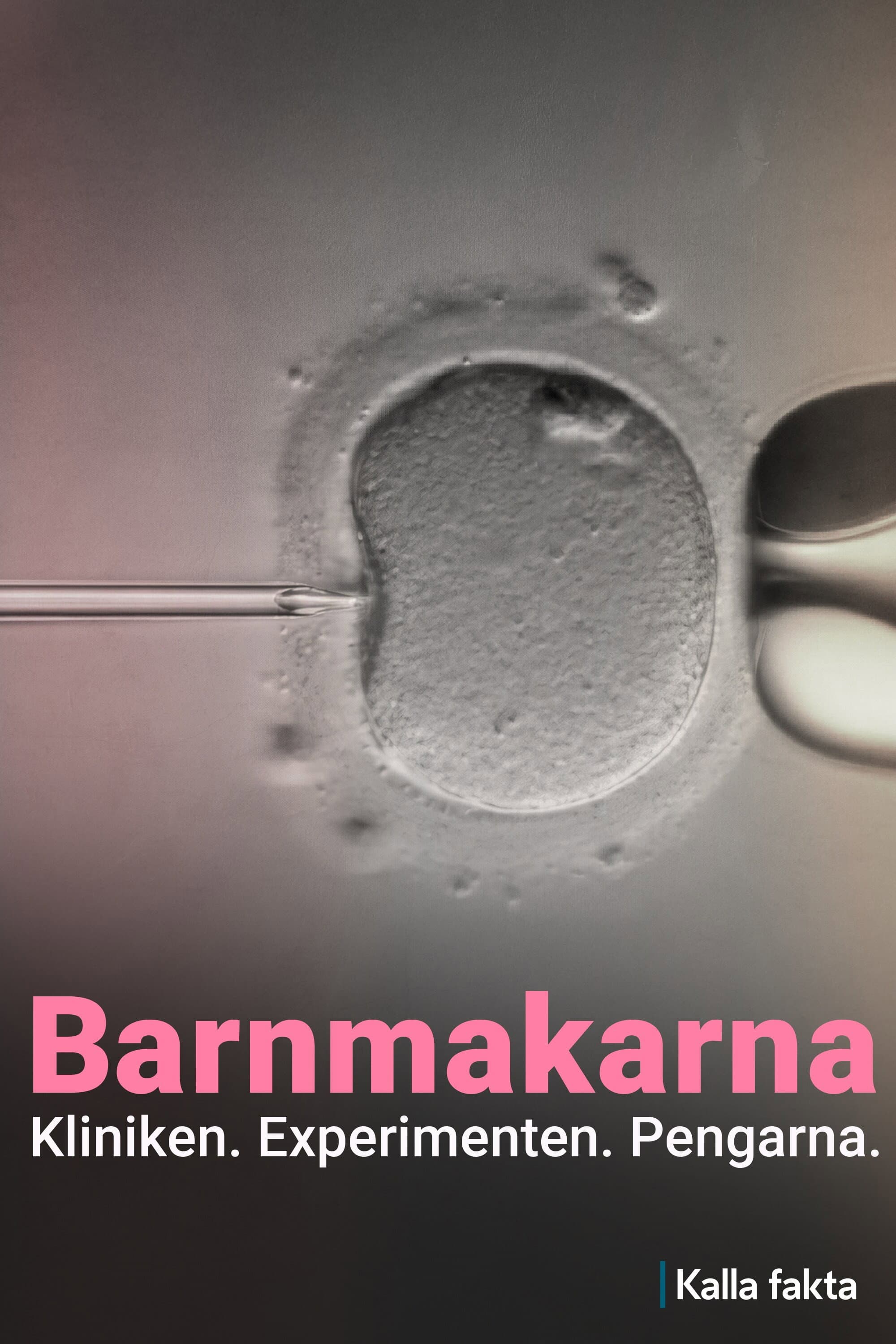 Kalla fakta: Barnmakarna