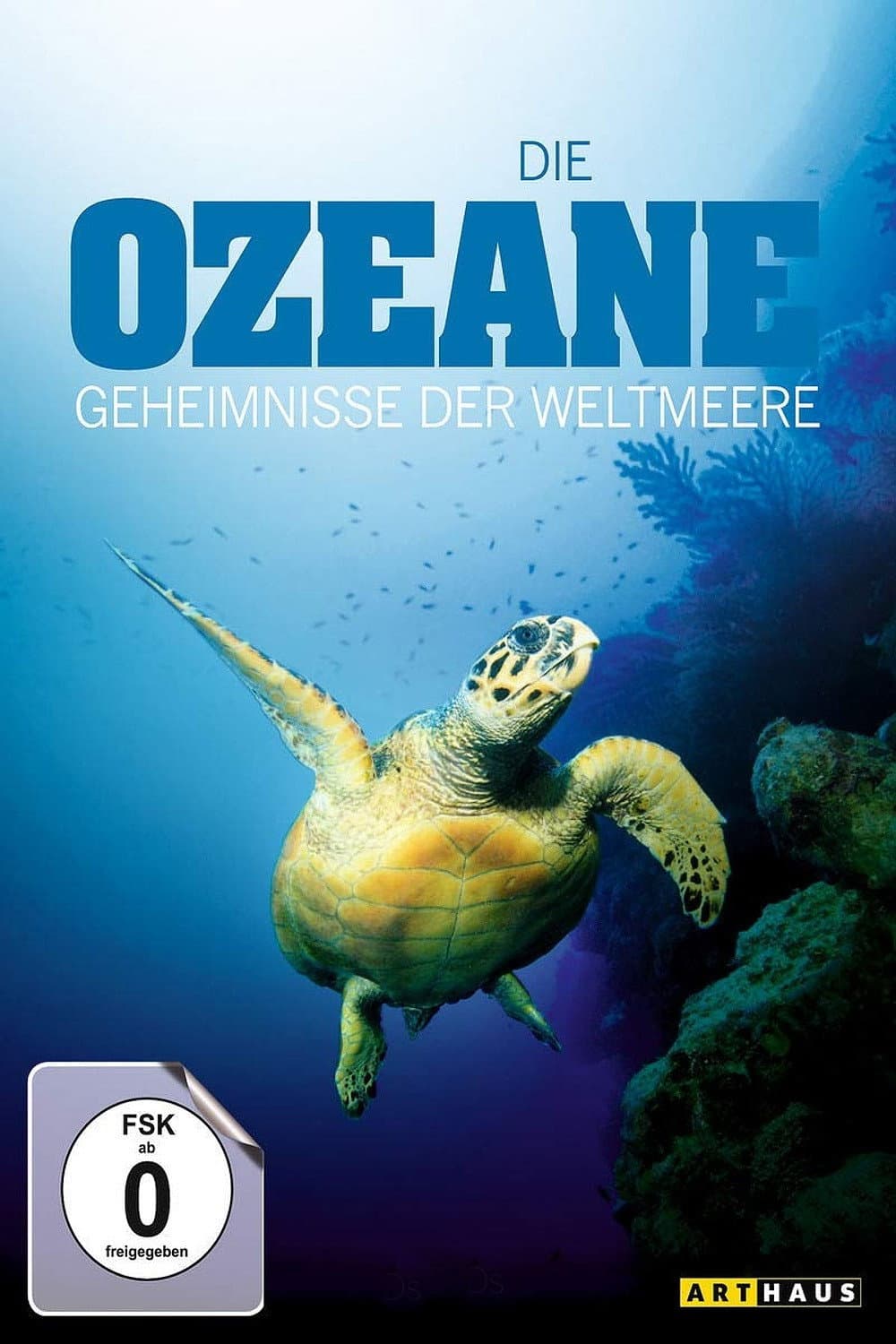 Macht der Wunder - Die Geheimnisse des Vatikans